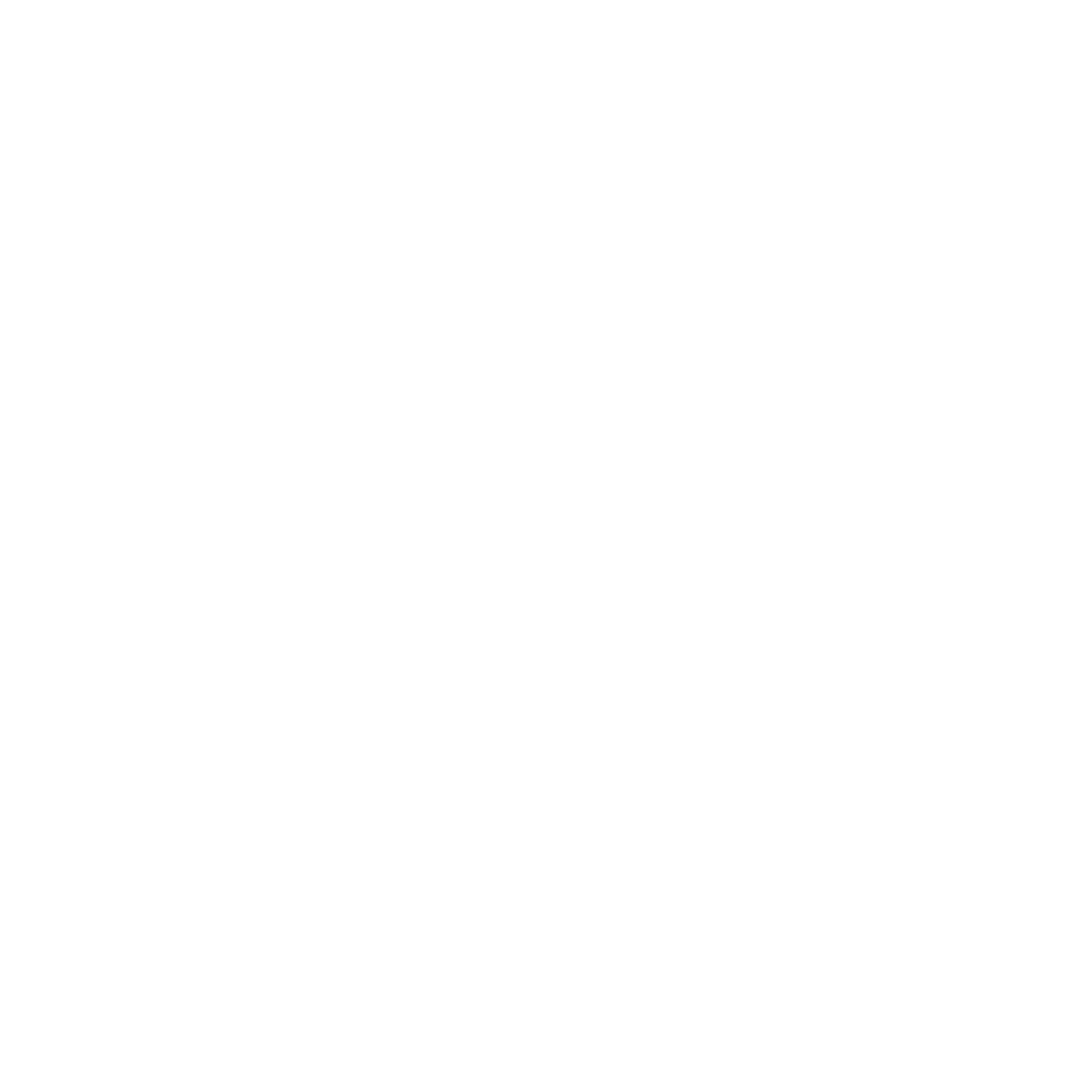 Leon Visa